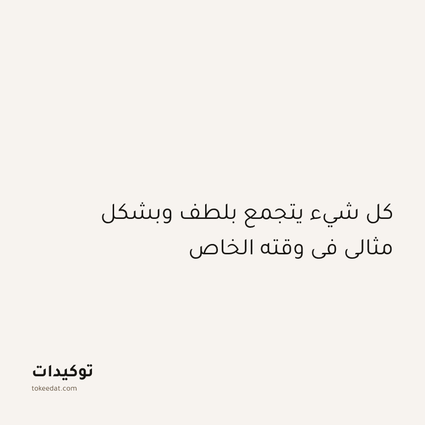 توكيد الطمأنينة: كل شيء يتجمع بلطف وبشكل مثالي في وقته الخاص