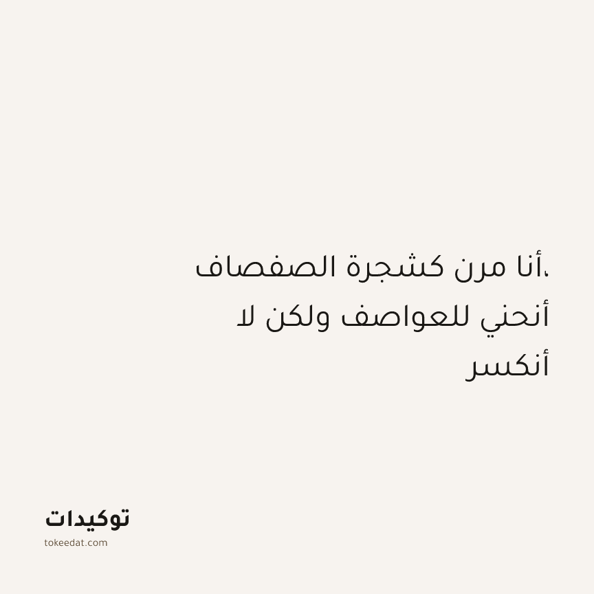 توكيد الطمأنينة: أنا مرن كشجرة الصفصاف، أنحني للعواصف ولكن لا أنكسر